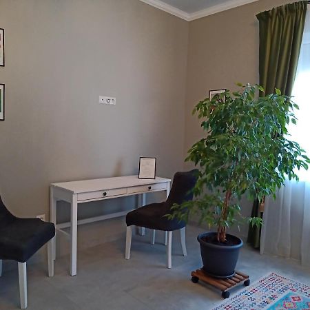 Dragos Voda Apartment Cluj エクステリア 写真